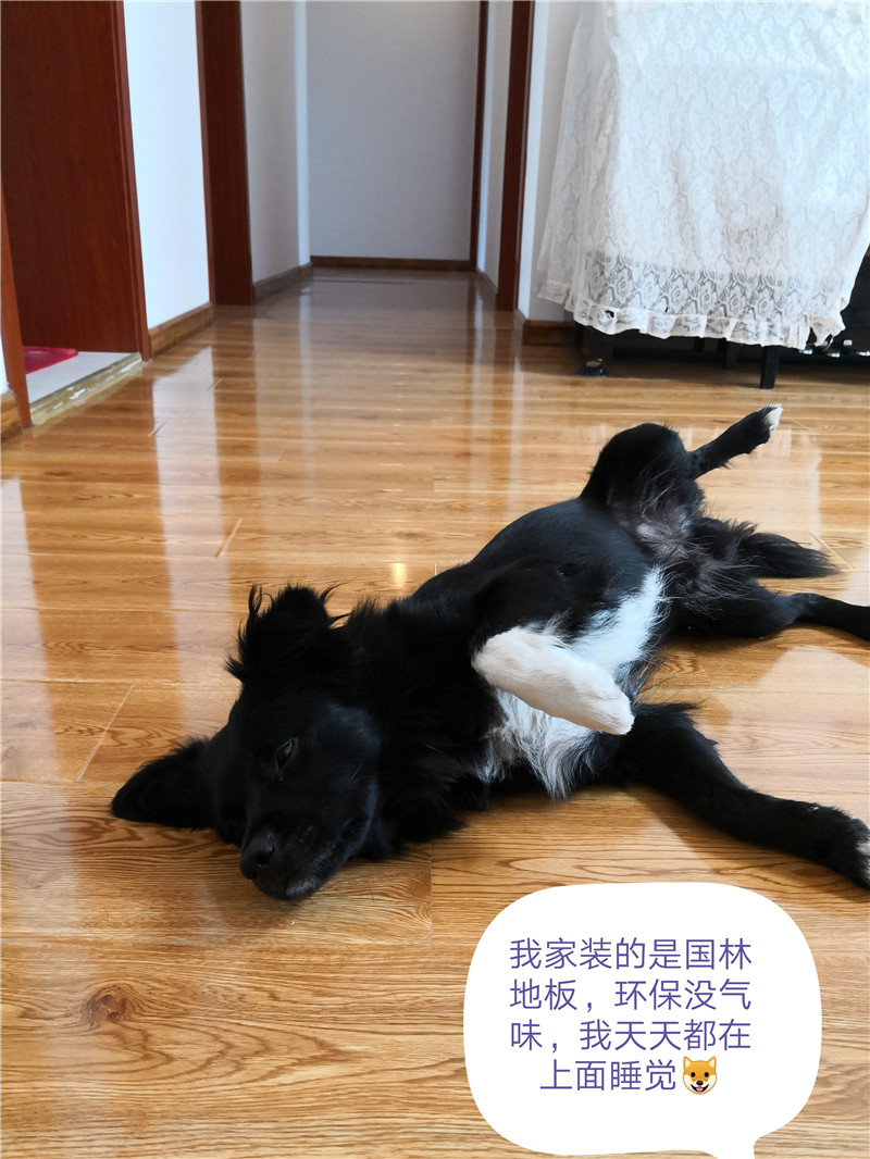 万搏网页版-万搏（中国）
